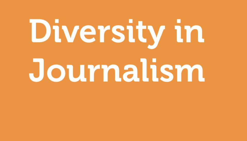 White Paper: Diversity in Journalism Media Diversity Institute