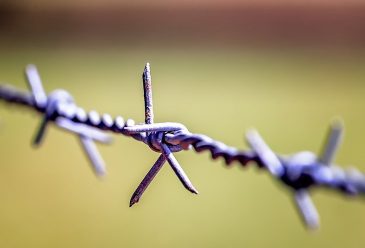 Bosnian Media: Killing Migrant Solidarity with Hate Speech