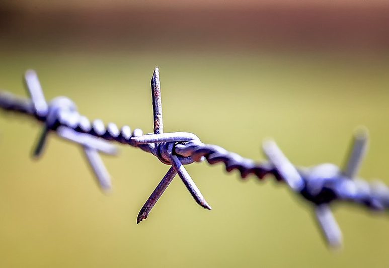 Bosnian Media: Killing Migrant Solidarity with Hate Speech