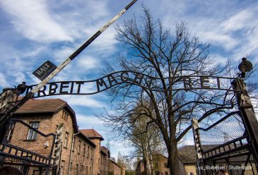 The Worrying Trend of Holocaust Comparisons