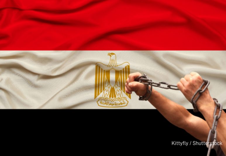 “We Live in an Age of Fear”: Ahmed Samir Santawy’s Case High...