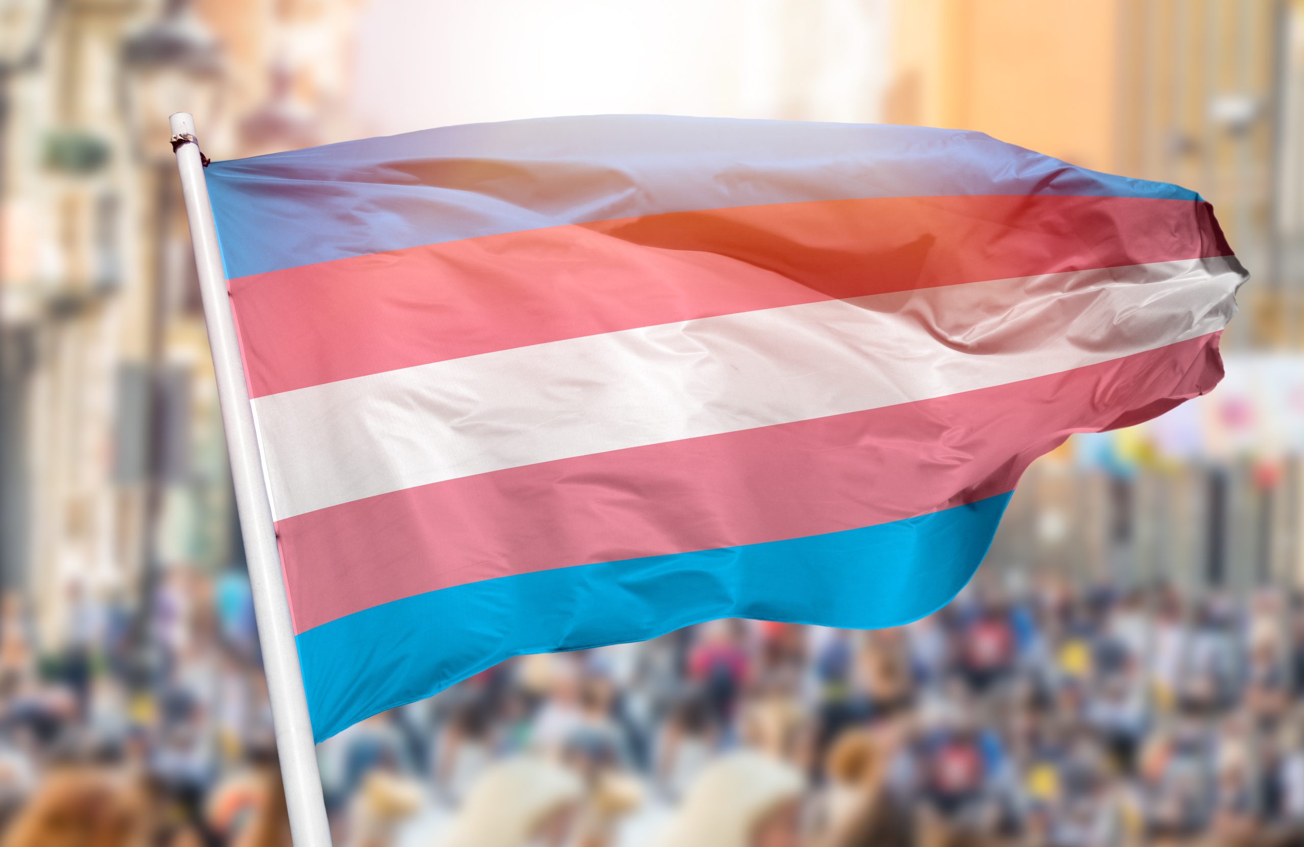Monica: A Voice For The Transgender Community