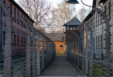 Beyond the Darkness: Bridging Generations 
