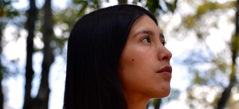 Need to recognise Indigenous diversity