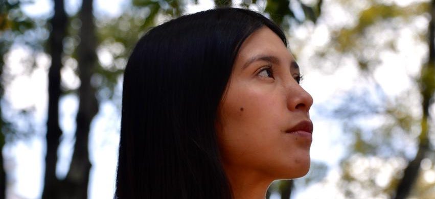 Need to recognise Indigenous diversity - Media Diversity Institute